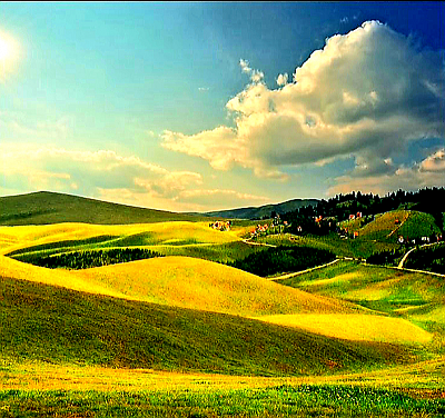 Guardians of cultural heritage and customs – picturesque landscapes of Zlatibor villages with characteristic pine trees and flower fields