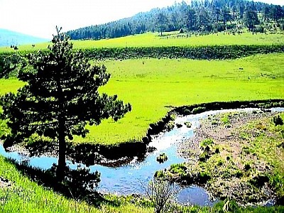 The red horizon above the dark peaks of Murtenica as the sun disappears behind the hills An old gate made of rough wood leading to a mountain pasture surrounded by a stone wall Narrow clouds descending low over the wooded ridges of Draglica White paths made of crushed stone winding through the lush greenery of the Zlatibor meadows Blue moss on the north side of an oak tree deep in a mountain cut A bird's eye view of gray village roofs protruding from the thick winter snow Bouquets of wild mountain orchids hidden in a tall grassy carpet A rocky hill overlooking the serpentine meanders of the canyon Traces of frost that have turned ordinary shrubs into transparent crystalline branches A mountain peak bathed in the first morning blush while the valley is still in darkness A forgotten wooden cart on the edge of the forest covered with wild ivy A group of tall fir trees standing like sentinels on the very edge of the precipice A sharp mountain wind making waves in the untouched tall grass A golden dust of pollen floating in the air in a sunlit forest clearing A frozen puddle on the road refracting the colors of the winter sky like a prism The roofs of village houses from which long icicles hang in the silence of January A path covered with pine cones leading deeper into the unexplored parts of the mountain A dark silhouette of an eagle circling high above the rocky peaks in search of prey A limestone rock from which cold water drips straight into a natural stone trough The peace of a mountain twilight where only the quiet whisper of the wind through the pine branches can be heard