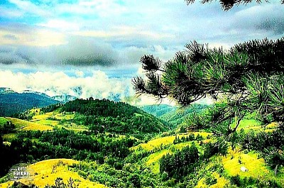 Zlatibor in the past – a historical depiction of the mountain resort and nature as it looked years ago The red horizon above the dark peaks of Murtenica at the moment when the sun disappears behind the hill An old gate made of unhewn wood leading to a mountain pasture surrounded by a stone wall Narrow clouds descending low over the wooded ridges of Draglica White paths made of crushed stone winding through the lush greenery of Zlatibor meadows Blue moss on the north side of an oak tree deep in a mountain cut A bird's eye view of gray village roofs protruding from the thick winter snow Bouquets of wild mountain orchids hidden in a tall grassy carpet A rocky hill overlooking the serpentine meanders in the canyon Traces of frost that have turned ordinary shrubs into transparent crystal branches A mountain peak bathed in the first morning blush while the valley is still in darkness A forgotten wooden A wagon on the edge of the forest covered with wild ivy A group of tall fir trees standing like sentinels on the very edge of a ravine A sharp mountain wind making waves in the untouched tall grass A golden dust of pollen floating in the air in a sunlit forest clearing A frozen puddle on the road refracting the colors of the winter sky like a prism The roofs of village houses from which long icicles hang in the silence of January A path covered with pine cones leading deeper into unexplored parts of the mountain A dark silhouette of an eagle circling high above the rocky peaks in search of prey A limestone rock from which cold water drips straight into a natural stone trough The peace of a mountain twilight where only the quiet whisper of the wind through the pine branches can be heard
