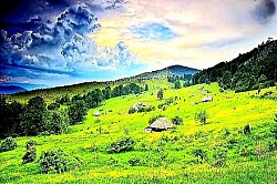 The wind pushing clouds over the edge of the mountain range into the background Dense ferns that completely cover the forest floor under century-old beeches Dry Zlatibor grass rustling under footsteps in an open field The silence of a mountain peak, only occasionally interrupted by the cawing of crows The glint of the sun on the metal roof of a remote hut in the middle of a green expanse - Fields of mountain marigolds swaying in the wind like white cotton Huge stone slabs stacked one on top of another on top of a bare clearing Deep ravines in the red Zlatibor loam after a strong summer storm Pine trees with twisted trunks following the direction of the dominant winds The edge of the forest where dark green conifers mix with bright yellow birch leaves A view of Tornik from the neighboring hill as the cable car cuts through the mountain silence Large drops of dew on the leaves of wild strawberries hidden in the high grass