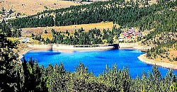 Fields of mountain marigolds swaying in the wind like white cotton Huge stone slabs stacked on top of each other on top of a bare clearing Deep ravines in the red Zlatibor loam after a strong summer storm Pine trees with twisted trunks following the direction of the dominant winds The edge of the forest where dark green conifers mix with bright yellow birch leaves A view of Tornik from the neighboring hill as the cable car cuts through the mountain silence Large drops of dew on wild strawberry leaves hidden in the tall grass - The edge of the forest where dark green conifers mix with bright yellow birch leaves A view of Tornik from the neighboring hill as the cable car cuts through the mountain silence Large drops of dew on wild strawberry leaves hidden in the tall grass A gray haze clinging to the fir trees in late autumn afternoons A natural amphitheater of rocks filled with low mountain vegetation and junipers Narrow goat paths that cut through steep and taut mountain sides Moonlight glints on the icy slopes that