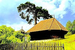 Silver birch branches contrasting with the dark and heavy pine crowns Frozen lake surface cracking under the pressure of low temperatures creating patterns like a net Eagles soaring on air currents above the highest mountain peaks Horse hooves in soft mud next to a forest spring The complete whiteness of a mountain glade where the border between earth and sky is not visible A lonely windowless stone hut tucked into the lee of a steep cliff - The scent of dry conifers and wild mint spreading on the warm slopes Wild roses in bloom next to an old stone fence dividing two pastures Long shadows of trees covering the entire valley at dusk Limestone rocks eroded by wind and rain that look like natural sculptures A fast mountain stream that carries white stones down the slope after the rain A gravel road winding along the very