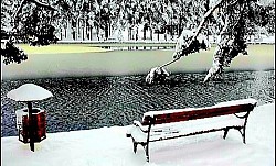 A group of slender pine trees growing from an almost completely bare rock Blue fog lingering in the coves between the hills at dusk Sharp frost crystals on the barbed wire that borders the mountain estate The wind pushing clouds into the background over the edge of the mountain massif Dense fern that completely covers the forest floor under century-old beech trees Dry Zlatibor grass rustling under footsteps in an open field The silence of the mountain peak, only occasionally interrupted by the croaking of crows - The wind pushing clouds into the background over the edge of the mountain massif Dense fern that completely covers the forest floor under century-old beech trees Dry Zlatibor grass rustling under footsteps in an open field The silence of the mountain peak, only occasionally interrupted by the croaking of crows The glint of the sun on the metal roof of a distant hut in the middle of a green expanse