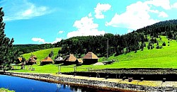 Low blueberry bushes that take on the color of dark wine in autumn A narrow gorge through which the wind constantly howls, creating mountain music Layered clouds that pile up on the peaks like heavy wool Reflections of trees in the boats on the road that look like abstract paintings A wild orchid blooming alone in the lee of a large limestone rock - Steep sections of gray limestone dotted with vertical lines from rainwater runoff A lonely shepherd on the horizon that merges with the dark silhouette of the mountain at dusk Short mountain shadows that hide under stone bushes and junipers at noon Frozen springs on the rocks that look like petrified waterfalls of white glass A view of Tornik from Čigota through the transparent haze of a sunny October day Golden threads of mountain grass trapped in transparent ice after a freezing rain