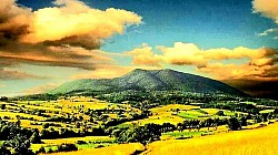 Steep sections of gray limestone dotted with vertical lines from rainwater runoff A lone shepherd on the horizon that blends with the dark silhouette of the mountain at dusk Short mountain shadows that hide under stone bushes and junipers at noon Frozen springs on rocks that look like petrified waterfalls of white glass A view of Tornik from Čigota through the transparent haze of a sunny October day Golden threads of mountain grass trapped in transparent ice after a freezing rain - Golden threads of mountain grass trapped in transparent ice after a freezing rain Narrow cuts in the stone that have been carved by cold mountain water for centuries Dark earth peeking out from under the snow cover in places where the wind is strongest A group of pine trees on the edge of a precipice tilted at an angle that defies logic A network of tiny cracks in the bark of a century-old spruce filled with hardened resin A white stone path that gets lost in a dark green tunnel of a dense coniferous forest