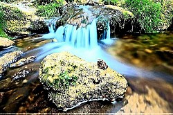 The sharp stone cliffs of Zlatibor that descend vertically into a valley covered with dense forest A clearing covered with wildflowers on the slopes of Zlatibor that smells of clean mountain air Beams of light that break through the crowns of Zlatibor spruces and illuminate secret forest paths The surface of Zlatibor lakes that reflects the pristine blue sky like a mirror A panoramic view of the golden fields of Zlatibor grass under strong gusts of wind from Murtenica - The surface of Zlatibor lakes that reflects the pristine blue sky like a mirror A panoramic view of the golden fields of Zlatibor grass under strong gusts of wind from Murtenica Branches of Zlatibor juniper with blue fruits that sprout directly from the gray limestone A herd of cattle grazing in Zlatibor under high cliffs that protect the livestock from mountain storms Snowdrifts on along the Zlatibor country roads that cast deep shadows in the late afternoon