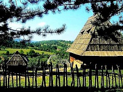 Zlatibor spring water flowing down rocks covered with dark green wet moss A lonely Zlatibor pine tree on a rocky hill that defies harsh mountain winters Traces of frost on wild hawthorn berries next to an old Zlatibor wooden fence The high peaks of Zlatibor covered in a bluish haze at the moment of sunset A village yard on Zlatibor with stacked logs for a long and cold winter - A village yard on Zlatibor with stacked logs for a long and cold winter A road that disappears into the dense Zlatibor forest while golden eagles soar above it A floral carpet of violets on the edge of Zlatibor forests in the first days of spring The walls of an old Zlatibor house that slowly but surely merges with the natural landscape A narrow Zlatibor gorge with a fast-flowing stream that creates white foam over the stones The slopes of Zlatibor covered with ferns that in autumn takes on a bright copper color