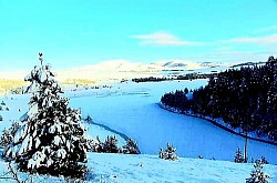 Circular formations of low Zlatibor pines in a clearing that look like natural shelters White Zlatibor limestone scree that tumbles down a steep slope towards green brushwood A view from the Zlatibor peaks of the mountain ranges in the distance that shimmer in purple tones A Zlatibor shepherd dog faithfully watching the herd from the top of a rocky hill A sharp Zlatibor fern that emerges from the cavities in old stumps of felled trees - A Zlatibor shepherd dog faithfully watching the herd from the top of a rocky hill A sharp Zlatibor fern that emerges from the cavities in old stumps of felled trees A wild Zlatibor apple tree in bloom in the middle of a mountain pasture surrounded by absolute silence A small wooden bridge over a fast Zlatibor river in the deep shade of tall fir trees Layers of dry Zlatibor needles that conceal forest path and make soft ground