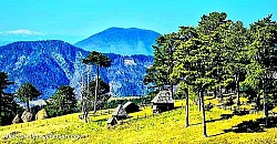 A huge pile of stones at the very top of the hill that serves as a landmark for hikers A swirling powder of snow that the wind raises from the frozen pastures of Zlatibor An old pine tree with bare roots clinging to a rocky slope The light gray bark of a beech forest that shimmers in the moonlight like metal A lonely mountain path covered with fine gravel leading into the unknown A red horizon above the dark mountain contours in the few minutes before complete darkness - A lonely mountain path covered with fine gravel leading into the unknown A red horizon above the dark mountain contours in the few minutes before complete darkness Long ice candles hanging from the stone sections above the mountain road Silvery feathers of mountain grasses that flicker at the slightest breath of wind An abandoned stone well in the middle of a vast meadow surrounded by tall ferns A dark green velvety carpet of moss on the southern side of a damp forest coves