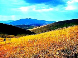 The edge of the forest where dark green conifers mingle with bright yellow birch leaves A view of Tornik from a neighboring hill as the cable car cuts through the mountain silence Large drops of dew on wild strawberry leaves hidden in tall grass A gray haze clinging to fir trees in late autumn afternoons A natural rock amphitheater filled with low mountain vegetation and junipers Narrow goat paths cutting through steep and taut mountain sides Moonlight reflections on frozen slopes that look like cast silver Old plow furrows on abandoned fields reclaimed by nature A group of pine trees in a clearing that look like natural sentries over a ravine Yellow lichens that completely cover the southern side of a rocky ridge Steam rising from the mountain road as the sun appears after rains An uninterrupted series of hills disappearing into the distant haze towards Bosnia