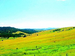 A lonely mountain path covered with fine gravel leading into the unknown Red horizon above the dark mountain contours in the few minutes before complete darkness Long ice candles hanging from the rock sections above the mountain road Silvery feathers of mountain grasses flickering at the slightest breath of wind A deserted stone well in the middle of a vast meadow surrounded by tall ferns A dark green velvet carpet of moss on the south side of a damp forest cove - A dark green velvet carpet of moss on the south side of a damp forest cove A high tension of silence on the mountaintop where only one's own breath can be heard Deposits of dry branches and leaves carried by a mountain torrent along the fir trees A flash of a mountain spring overflowing over the edge of a wooden water trough Traces of brakes and plows on a steep field descending straight into the canyon The soft texture of juniper pads emerging from the dry Zlatibor karst