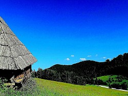 A group of tall pine trees jutting out of the fog like the masts of a sunken ship Stone slabs covered in lichen that form natural steps on the slope The sun refracting through a thick rain curtain creating a rainbow over Murtenica The scent of damp earth and rotting leaves in the deep crevices of the Zlatibor forests Low blueberry bushes that take on the color of dark wine in autumn A narrow gorge through which the wind constantly howls, creating mountain music - Low blueberry bushes that take on the color of dark wine in autumn A narrow gorge through which the wind constantly howls, creating mountain music Layered clouds that pile up on the peaks like heavy wool Reflections of trees in boats on the road that look like abstract paintings A wild orchid blooming alone in the lee of a large limestone rock