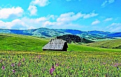 Frozen Zlatibor waterfall on a small stream that looks like a glass sculpture in the middle of a mountain winter The scent of Zlatibor resin spreading through the air in a warm forest clearing during a summer afternoon A sharp crack in a Zlatibor stone cliff from which a sturdy pine tree emerges, defying the harsh mountain conditions A narrow Zlatibor forest passage through which a distant mountain range can be seen in bluish haze A tilted wooden Zlatibor fence that stretches along the hill until it disappears into the dense conifers - A narrow Zlatibor forest passage through which a distant mountain range can be seen in bluish haze A tilted wooden Zlatibor fence that stretches along the hill until it disappears into the dense conifers Swirls of Zlatibor fog that spill over the edge of the canyon, creating the illusion of a white waterfall The dark green surface of Zlatibor conifers is intersected with the bright lines of cold mountain streams An old Zlatibor stump covered with colorful mushrooms and thick moss in the deep shade of a spruce Zlatibor limestone blocks scattered across the pasture like the remains of some ancient building in the karst The rays of the Zlatibor sun refracting through drops of rainwater on the sharp needles of a black pine A view of the Zlatibor village of Draglica where smoke from the chimney cuts vertically through the sharp mountain air Wild Zlatibor blackberries crawling over gray rocks at the very edge of the mountain road Tall Zlatibor grass that has completely collapsed under the weight of the first and harsh autumn frost A gray Zlatibor hawk on a dry branch that motionlessly surveys the terrain of the mountain plateau The plateaus on the peaks of Zlatibor's Murtenica where the wind shapes the tree crowns into strange and distorted forms A substrate of dry Zlatibor conifers that muffles every sound of footsteps in in the depths of a centuries-old forest Short Zlatibor shadows at noon on a bare rocky peak under a perfectly blue sky Soft Zlatibor moss that completely covers the roots of centuries-old trees in mountain crevices A peaceful Zlatibor valley filled with the scent of wildflowers and the constant buzzing of bees The edge of the Zlatibor ravine from which a view of the thousands of shades of forests in the canyon below The old stone Zlatibor fountain from which icy water flows into a rustic wooden trough The lead-colored sky above the snow-covered Zlatibor slopes that announces a new mountain blizzard The silvery reflection of Zlatibor rivers in the distance between two large forested hills Tiny white chamomile flowers scattered across the dry Zlatibor soil in open glades A group of tall Zlatibor birches that shine like white pillars in a dark coniferous environment