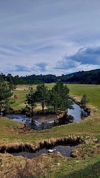 Vodice Zlatibor picnic area