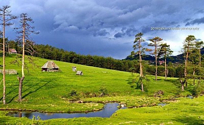 The waters of Zlatibor